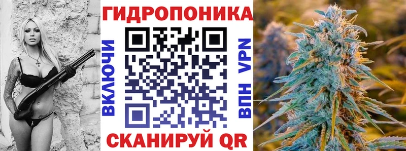 Что такое Неман Кокаин  Альфа ПВП  Псилоцибиновые грибы  Канабис  Меф  ГАШ  Амфетамин 
