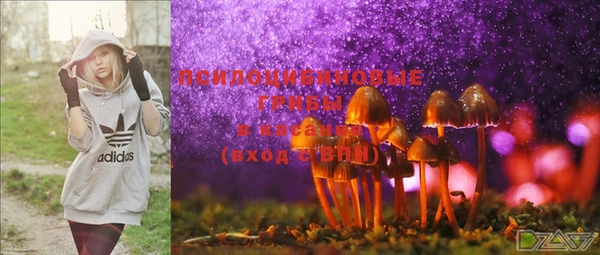 spice Беломорск